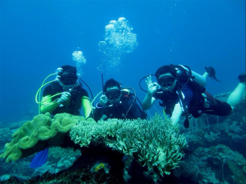 Snorkeling dan  Diving Pulau Tidung